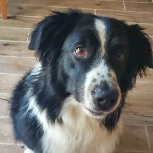 Meet your Posher, Jina